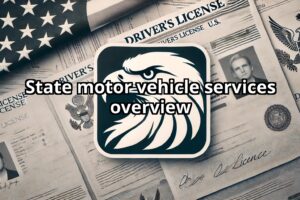 State motor vehicle services overview